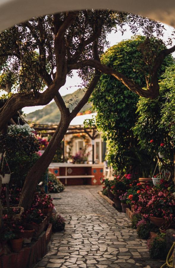 Hotel Villa Maria Sant'Angelo  Exterior foto